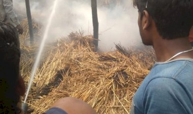 Photo Courtesy: news 18