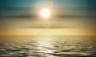 Photo Courtesy: Wellbeing Therapy Space