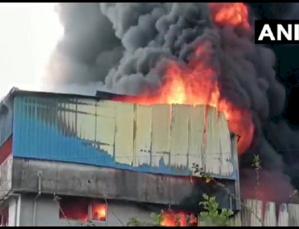 photo courtesy: news18 photo courtesy: news18