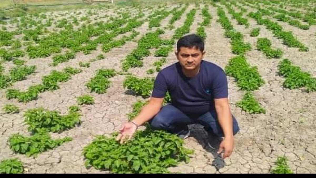 1 लाख रूपये किलो बिकनेवाली सब्जी हॉप शूट्स की खेती कर चर्चा में आया बिहार का एक किसान 1 लाख रूपये किलो बिकनेवाली सब्जी हॉप शूट्स की खेती कर चर्चा में आया बिहार का एक किसान