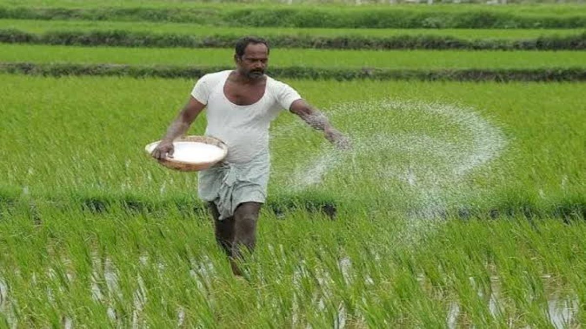 कोरोना काल में किसानों पर आई एक और आफत, इफको ने बढ़ाए खाद के दाम, DAP की कीमतों में डेढ़ गुना की बढ़ोतरी कोरोना काल में किसानों पर आई एक और आफत, इफको ने बढ़ाए खाद के दाम, DAP की कीमतों में डेढ़ गुना की बढ़ोतरी