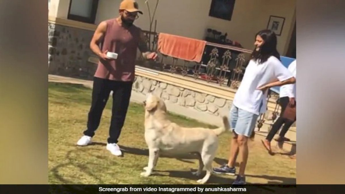 विरुष्का ने शेयर की लॉकडाउन मेमोरीज, बताया पिछले साल कैसे बिताया था लॉकडाउन विरुष्का ने शेयर की लॉकडाउन मेमोरीज, बताया पिछले साल कैसे बिताया था लॉकडाउन