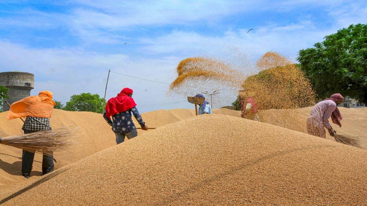 अन्नदाता पर कोरोना की मार, आगर मालवा के कई खरीदी केंद्रों में गेहूं खरीदी हुई बंद, बढ़ते कोरोना संक्रमण का दिया हवाला अन्नदाता पर कोरोना की मार, आगर मालवा के कई खरीदी केंद्रों में गेहूं खरीदी हुई बंद, बढ़ते कोरोना संक्रमण का दिया हवाला