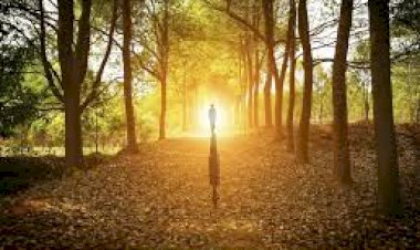 Photo courtesy: Faviana