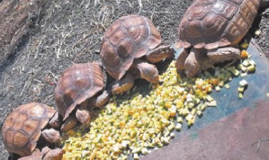 Photo Courtesy: Aaj tak  