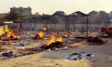 Photo Courtesy: Dainik Bhaskar 