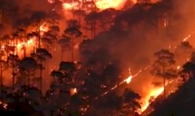 Photo Courtesy: twitter