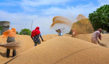 Photo courtesy: The Financial Express Photo courtesy: The Financial Express