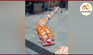 Photo courtesy: Instagram