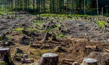 Photo courtesy: aaj tak