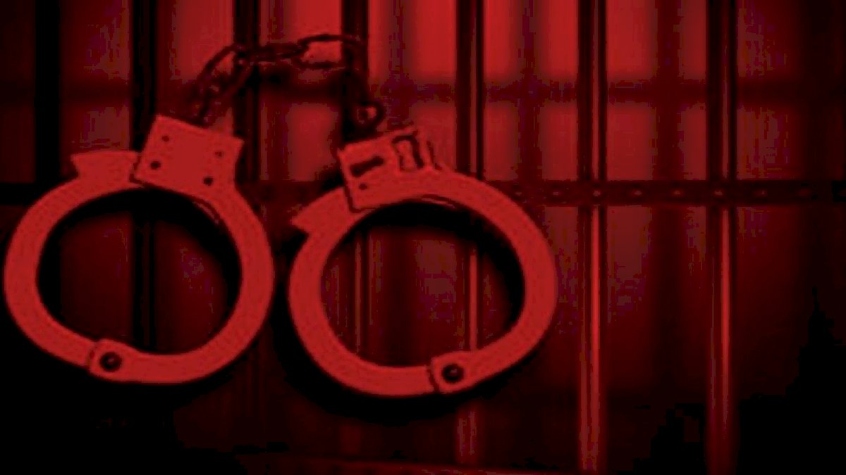 रायपुर में चोरों के हौंसले बुलंद, एमएम फिश कंपनी के दफ्तर से तिजोरी समेत 30 लाख कैश किया पार रायपुर में चोरों के हौंसले बुलंद, एमएम फिश कंपनी के दफ्तर से तिजोरी समेत 30 लाख कैश किया पार