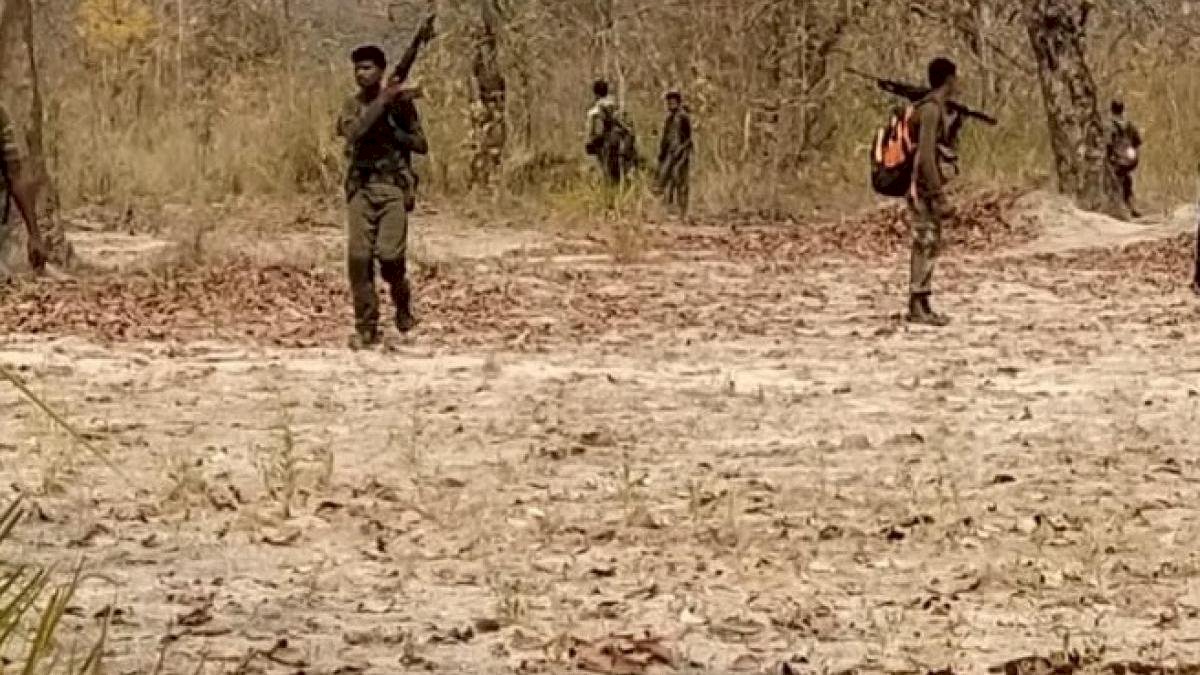 पुलिस नक्सली मुठभेड़ में 2 लाख की इनामी महिला नक्सली दंतेवाडा में ढेर पुलिस नक्सली मुठभेड़ में 2 लाख की इनामी महिला नक्सली दंतेवाडा में ढेर
