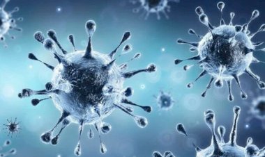 Photo courtesy: mp braking