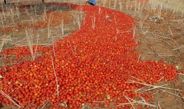 Photo courtesy: twitter