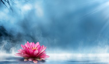 Photo courtesy: Practical Pain Management