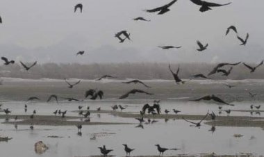 Photo Courtesy: Twitter