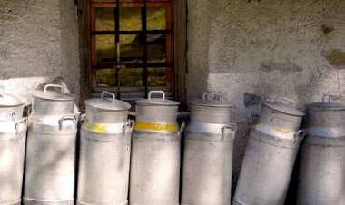 Photo courtesy: Inext Live (symbolic images)