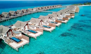 Photo Courtesy: DMARGE