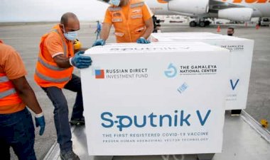 Photo Courtesy: Livemint