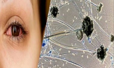 Photo Courtesy: Amar Ujala