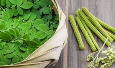 Photo courtesy: Times of India