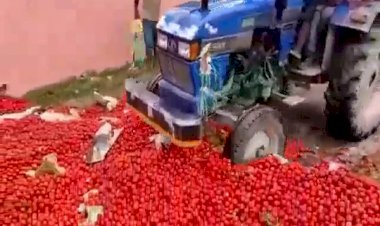 Photo courtesy: social media