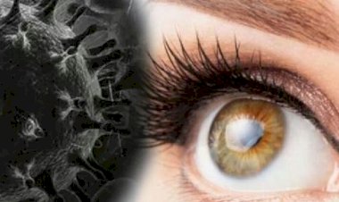 Photo courtesy: bhaskar