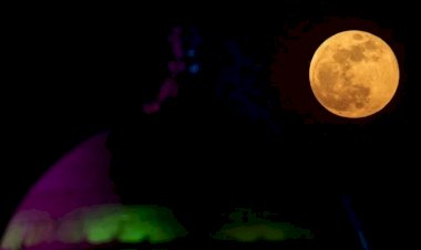 Photo courtesy: twitter