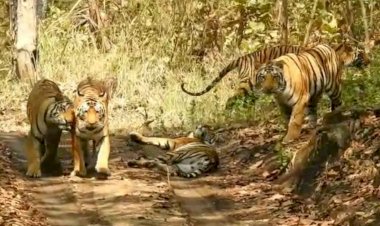 Photo courtesy: news 18