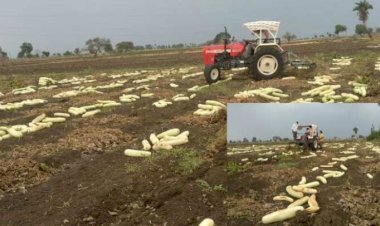 Photo courtesy: zee news