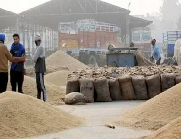 Photo courtesy: patrika Photo courtesy: patrika