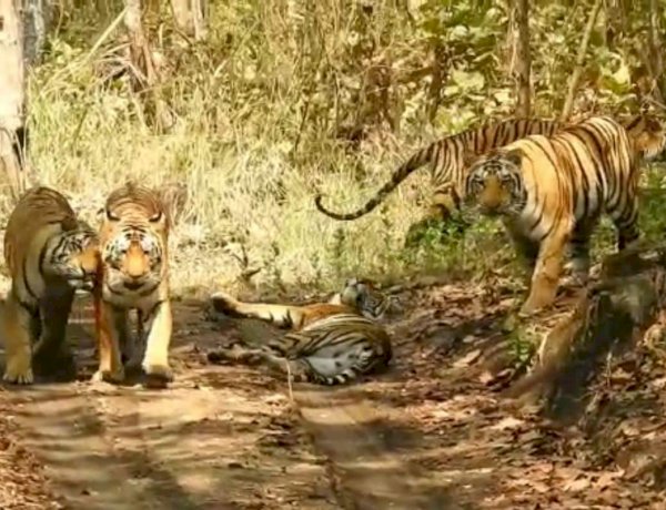 Photo courtesy: news 18 Photo courtesy: news 18