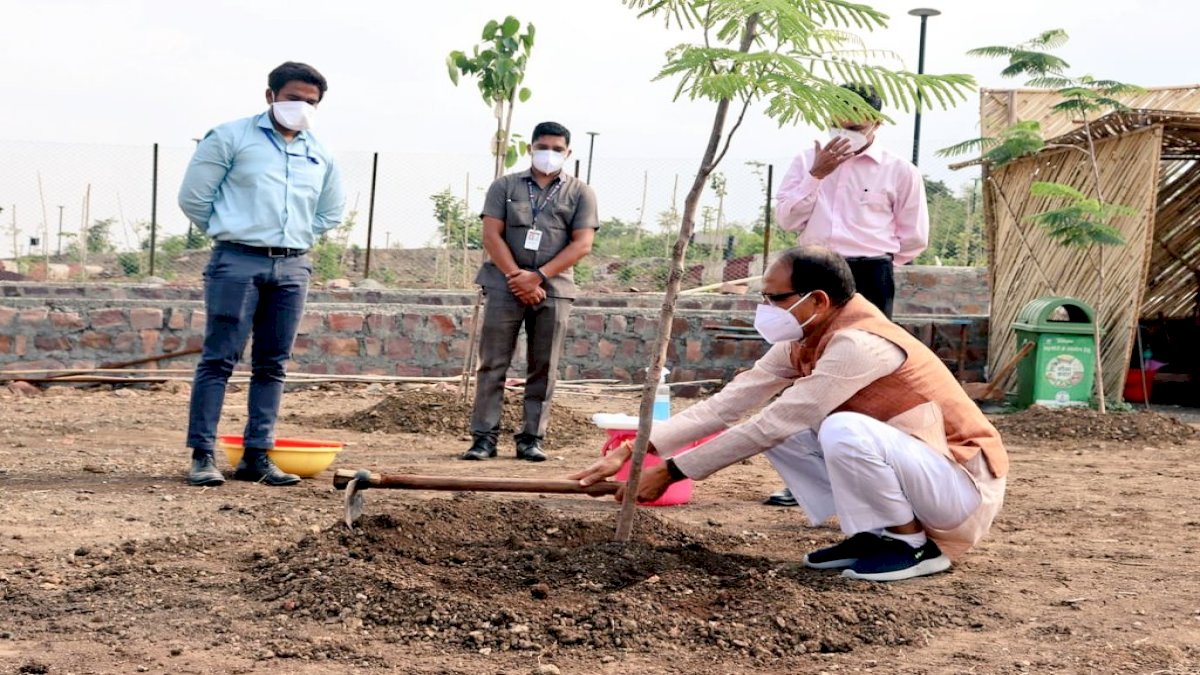 मध्यप्रदेश में बिल्डिंग परमिशन के लिए पेड़ लगाना हुआ अनिवार्य, पर्यावरण दिवस पर संकल्प मध्यप्रदेश में बिल्डिंग परमिशन के लिए पेड़ लगाना हुआ अनिवार्य, पर्यावरण दिवस पर संकल्प