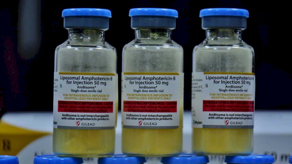 Amphotericin-B इंजेक्शन लेने के बाद ब्लैक फंगस के 27 मरीजों की बिगड़ी तबियत, रोका गया इस्तेमाल Amphotericin-B इंजेक्शन लेने के बाद ब्लैक फंगस के 27 मरीजों की बिगड़ी तबियत, रोका गया इस्तेमाल