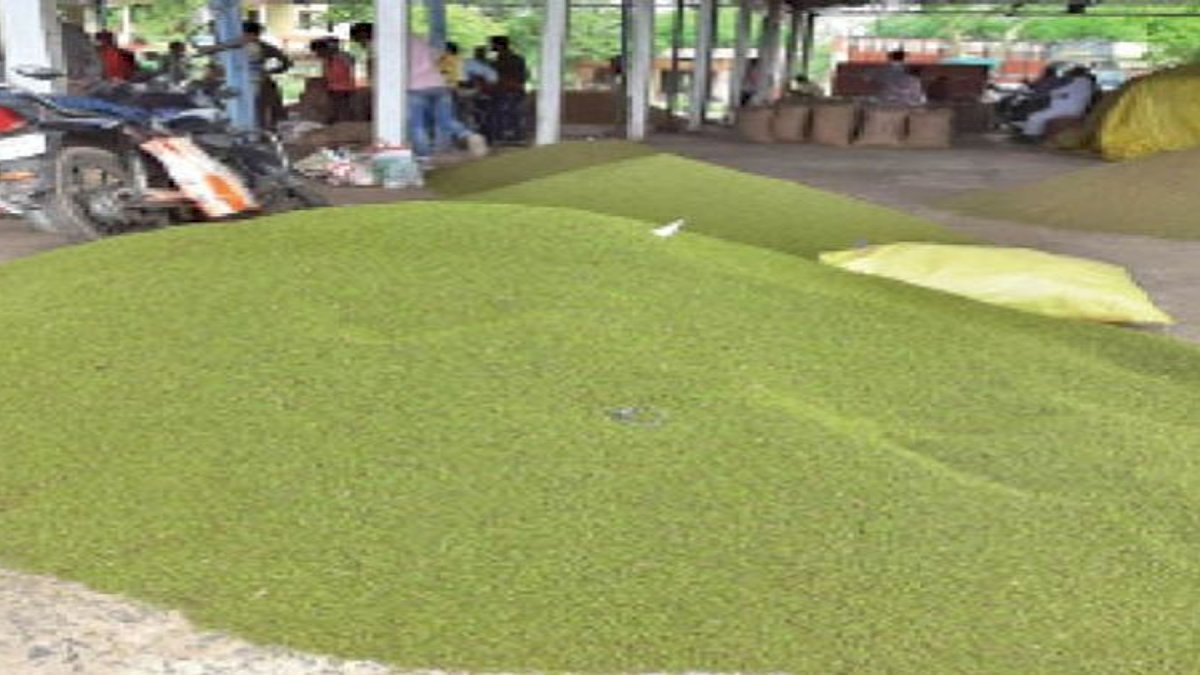 मध्यप्रदेश में हो रहा मूंग की खरीदी के लिए पंजियन, 15 जून से 90 दिन तक होगी खरीदी मध्यप्रदेश में हो रहा मूंग की खरीदी के लिए पंजियन, 15 जून से 90 दिन तक होगी खरीदी