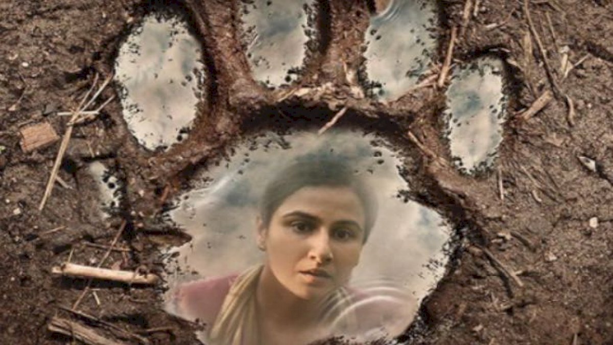मध्यप्रदेश में शूट हुई फिल्म शेरनी रिलीज, 240 देशों में देखी जा रही प्रदेश के जंगलों की खूबसूरती मध्यप्रदेश में शूट हुई फिल्म शेरनी रिलीज, 240 देशों में देखी जा रही प्रदेश के जंगलों की खूबसूरती