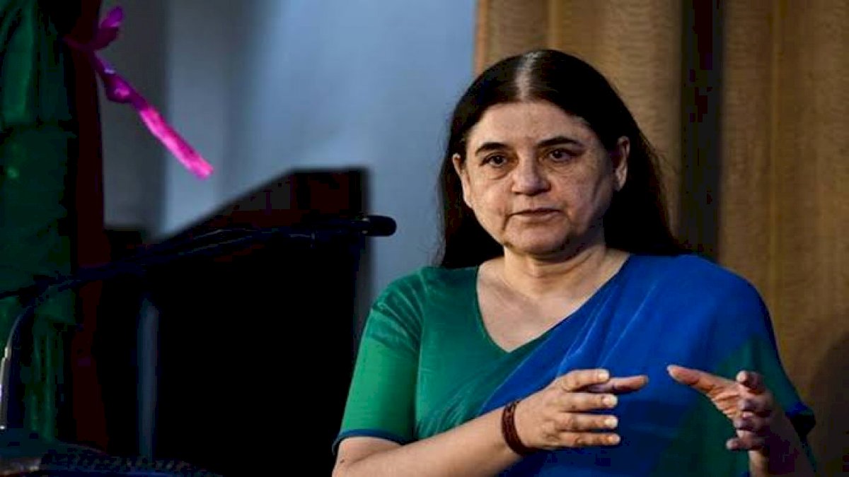 पशु डॉक्टरों के साथ अभद्रता से पेश आती हैं मेनका गांधी, वेटरनरी एसोसिएशन ने की पीएम से बीजेपी सांसद पर कार्रवाई की मांग पशु डॉक्टरों के साथ अभद्रता से पेश आती हैं मेनका गांधी, वेटरनरी एसोसिएशन ने की पीएम से बीजेपी सांसद पर कार्रवाई की मांग
