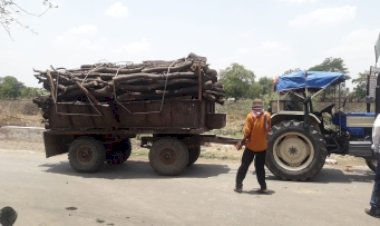 Photo Courtesy: Freepress Journal