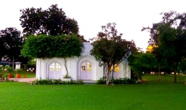 Photo Courtesy: Twitter