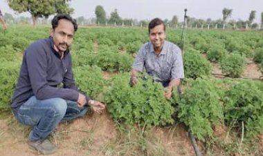 Photo Courtesy: News18