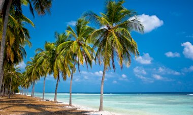 Photo Courtesy: Travel Earth