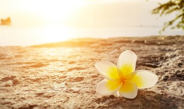 Photo courtesy: GoodTherapy