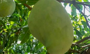 Photo courtesy: financial express