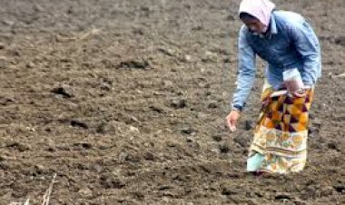 प्रतीकात्मक तस्वीर 