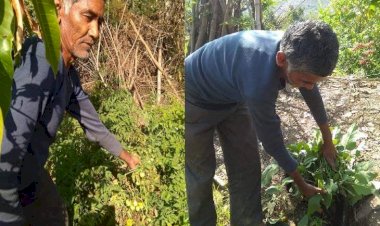 Photo Courtesy: Dainik Bhaskar 