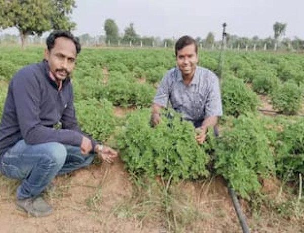 Photo Courtesy: News18 Photo Courtesy: News18