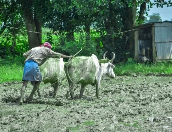 Photo Courtesy: Amar Ujala Photo Courtesy: Amar Ujala