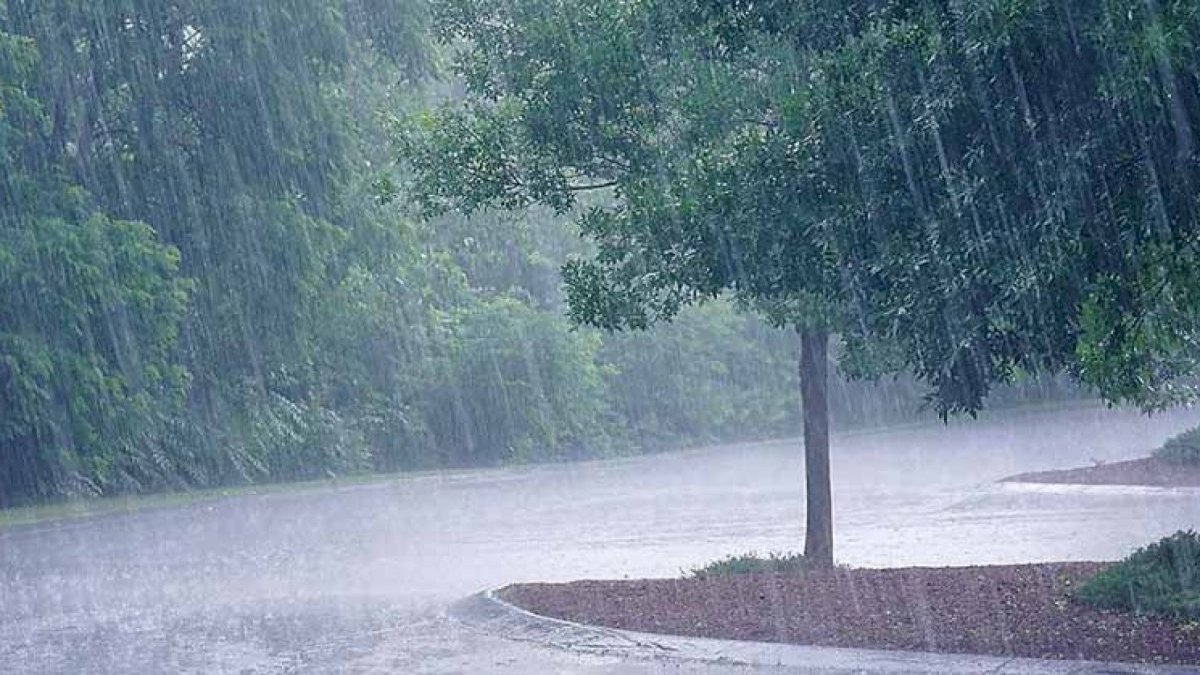 मध्य प्रदेश में फिर एक्टिव होगा मानसून अगले 48 घंटों में बारिश की चेतावनी, जबलपुर, मंडला, बालाघाट में होगी बारिश मध्य प्रदेश में फिर एक्टिव होगा मानसून अगले 48 घंटों में बारिश की चेतावनी, जबलपुर, मंडला, बालाघाट में होगी बारिश