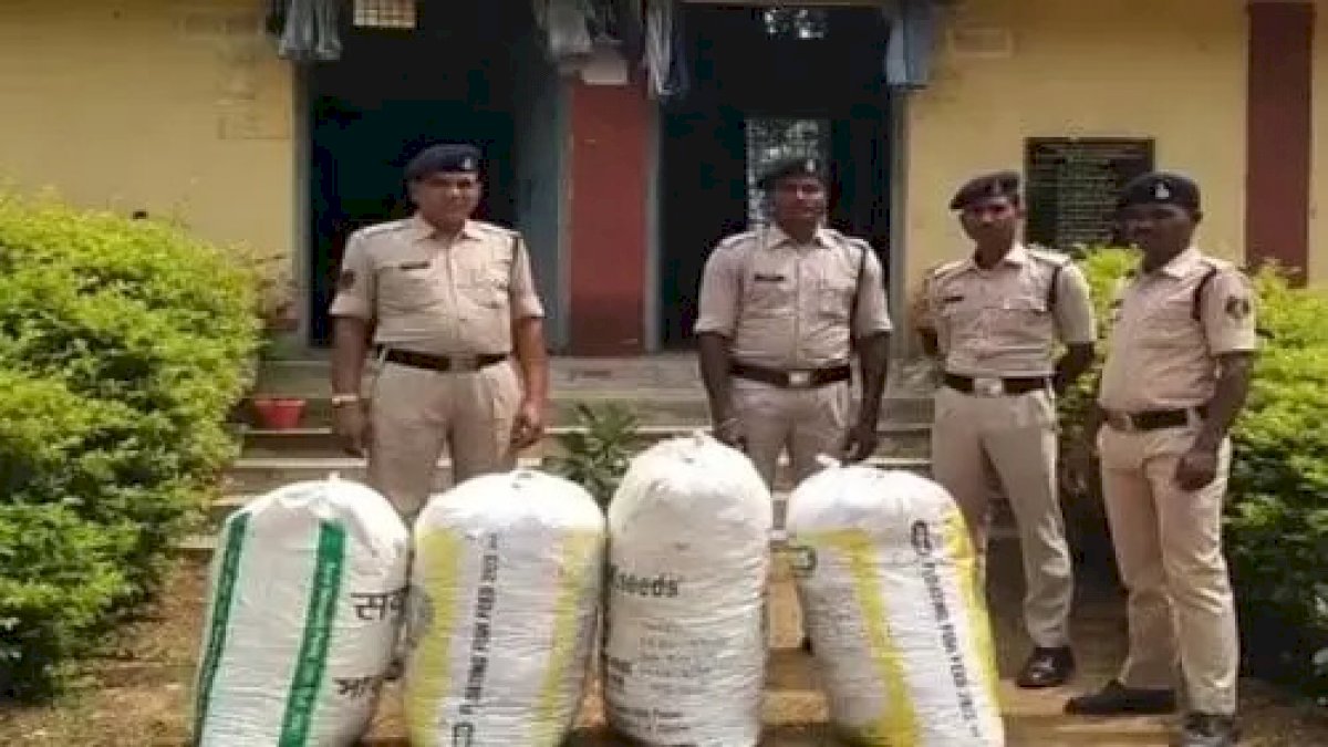 नदी के रास्ते ओडिशा से छत्तीसगढ़ लाया जा रहा 18 लाख का गांजा पकड़ाया, माल छोड़कर आरोपी फरार नदी के रास्ते ओडिशा से छत्तीसगढ़ लाया जा रहा 18 लाख का गांजा पकड़ाया, माल छोड़कर आरोपी फरार
