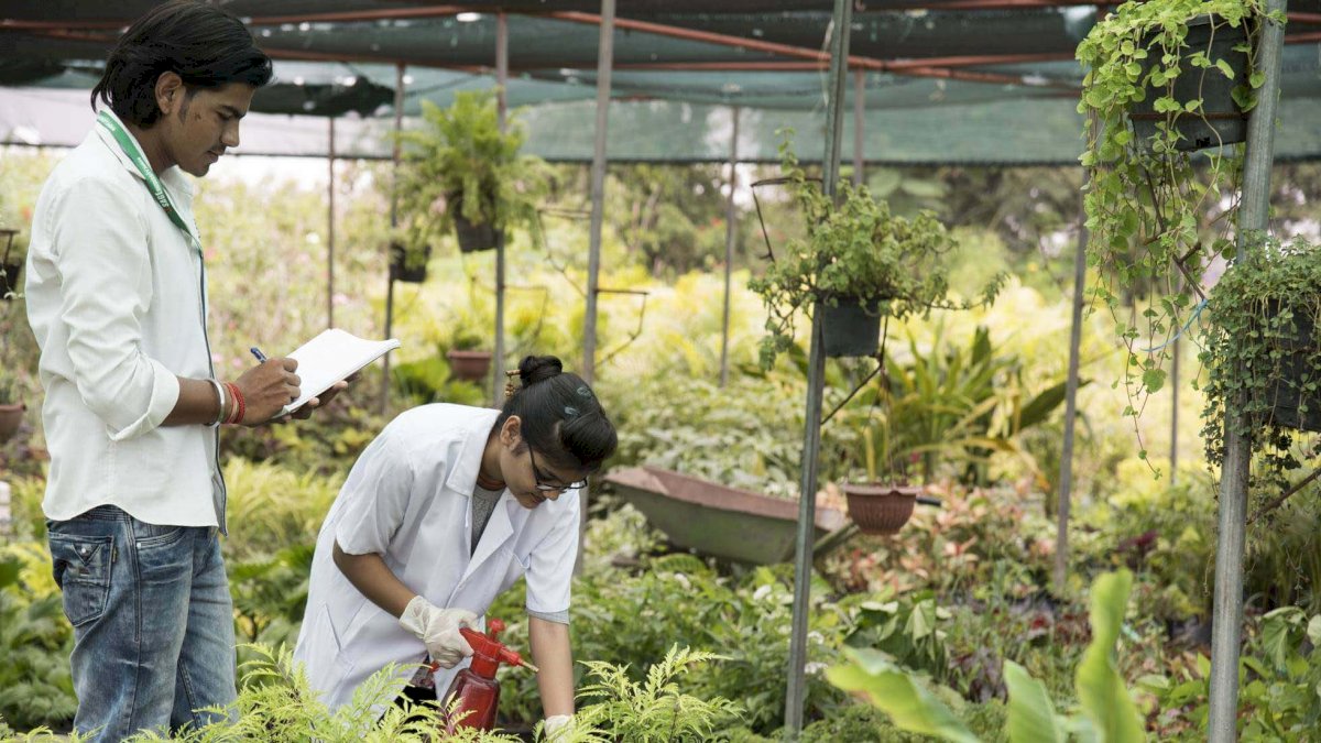 एग्रीकल्चर की पढ़ाई के प्रति बढ़ा युवाओं का रुझान, भोपाल के कॉलेज ने सीट बढ़ोत्तरी के लिए भेजा UGC को प्रस्ताव एग्रीकल्चर की पढ़ाई के प्रति बढ़ा युवाओं का रुझान, भोपाल के कॉलेज ने सीट बढ़ोत्तरी के लिए भेजा UGC को प्रस्ताव